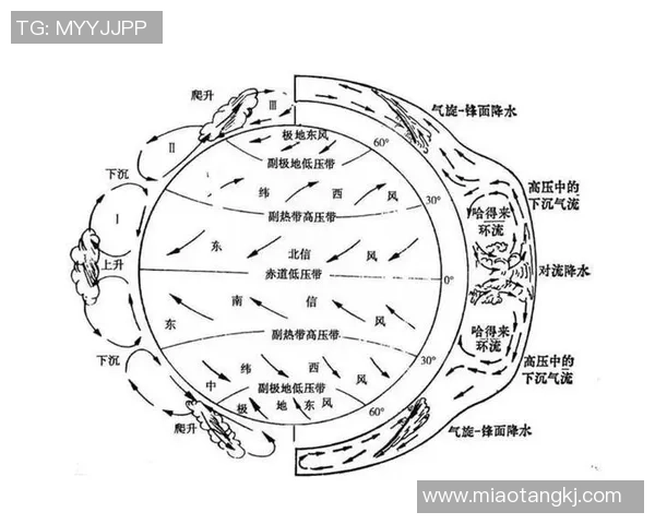 杭州羽毛球队整体压制分析及其对羽毛球运动发展的影响