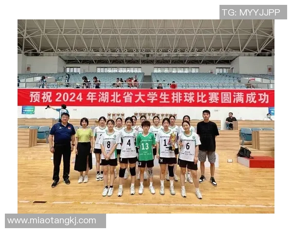 武汉排球队在全国排球个人能力排行榜中荣获第七名的辉煌成就